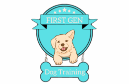 First Gen Dog Training